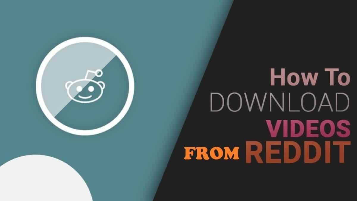 How to Download Videos From Reddit Downloader