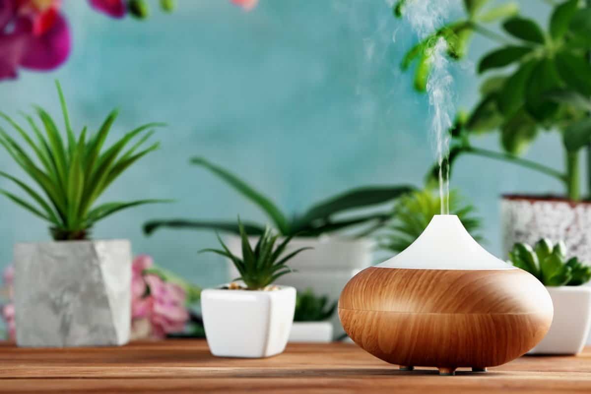 Top 10 Best Air Freshener For Home In 2022